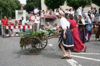 IMG_6523 (2) 
